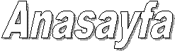 Anasayfa